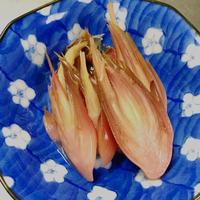たべれぽ