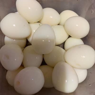 たべれぽの写真