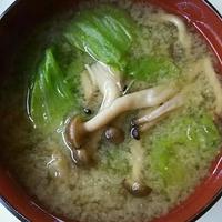 たべれぽ