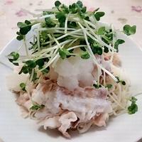 たべれぽ