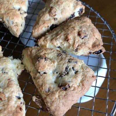 たべれぽの写真