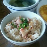 たべれぽ