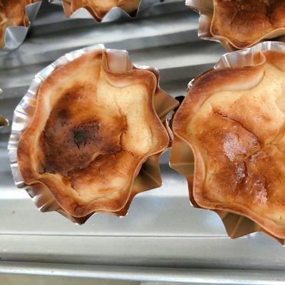 たべれぽの写真