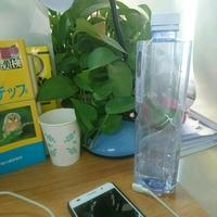 たべれぽ