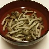 たべれぽ