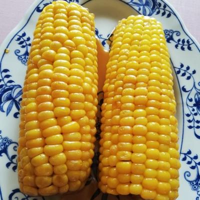 たべれぽの写真