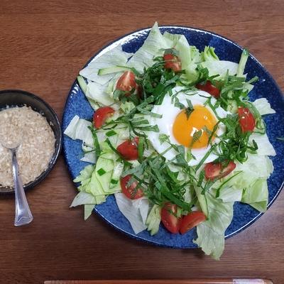 たべれぽの写真