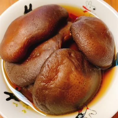 たべれぽの写真