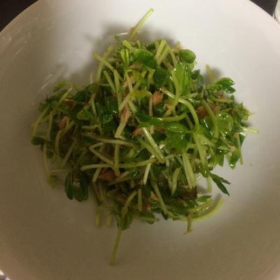 たべれぽの写真