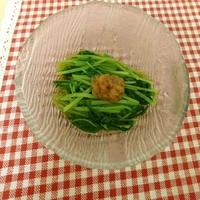 たべれぽ
