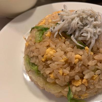 たべれぽの写真