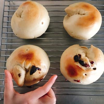 たべれぽの写真