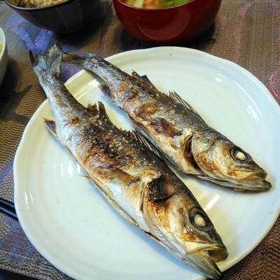 たべれぽの写真