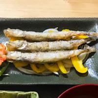 たべれぽ