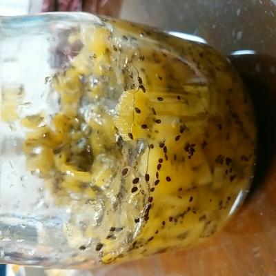 たべれぽの写真