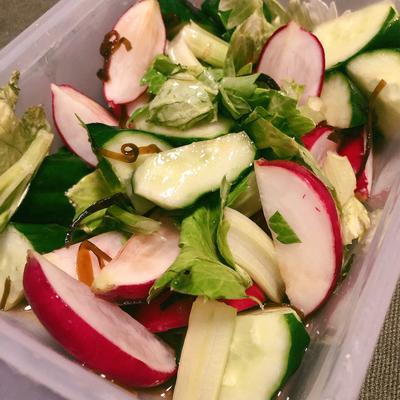 たべれぽの写真