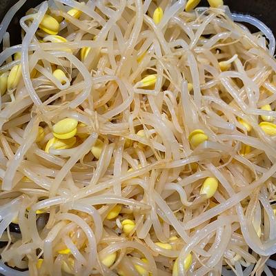 簡単おいしい 豆もやしのナムル 作り方 レシピ クラシル