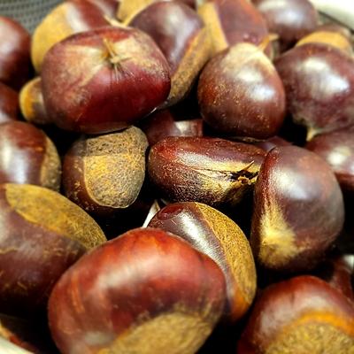 たべれぽの写真