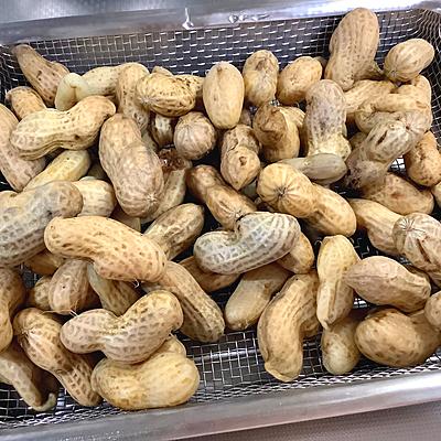 たべれぽの写真