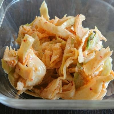 たべれぽの写真