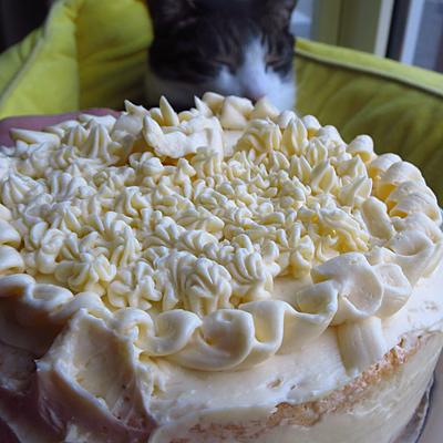 たべれぽの写真