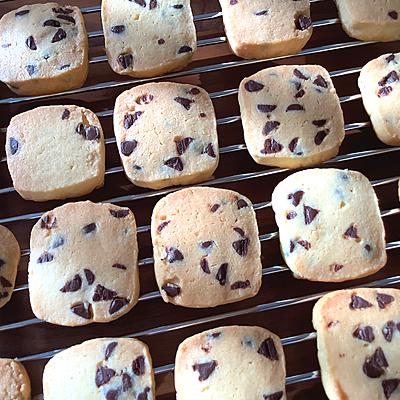 たべれぽの写真