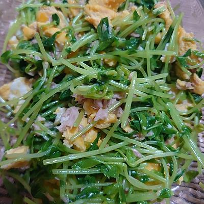 たべれぽの写真