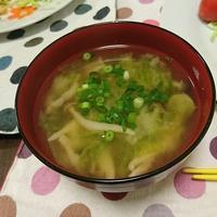 たべれぽ