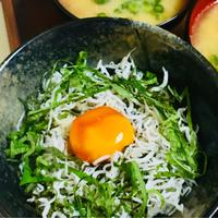 たべれぽ