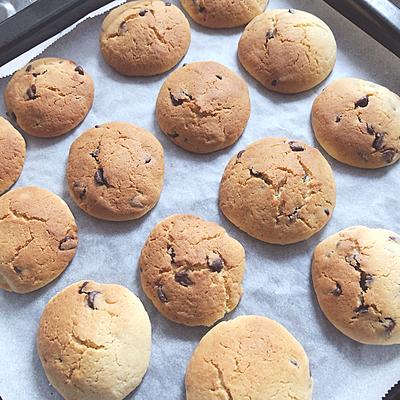 たべれぽの写真