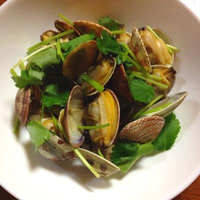 たべれぽの写真