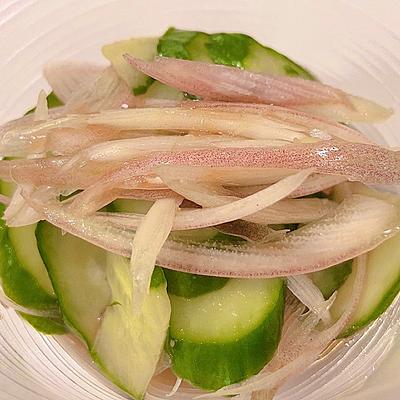 たべれぽの写真