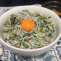 たべれぽ