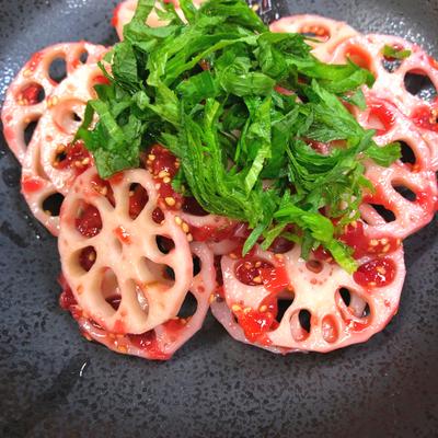 たべれぽの写真