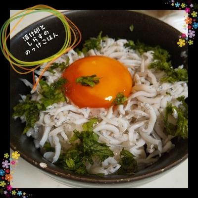 たべれぽの写真