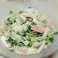 たべれぽ