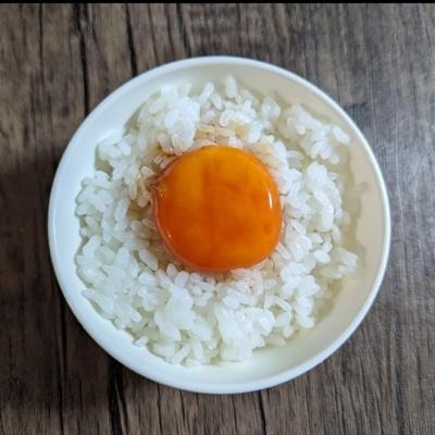 たべれぽの写真