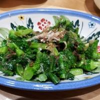 たべれぽ
