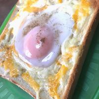 たべれぽ