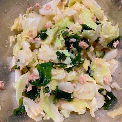 たべれぽの写真