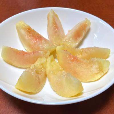 たべれぽの写真