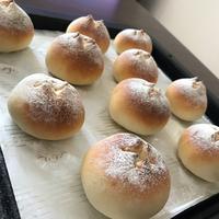 たべれぽ
