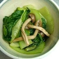 たべれぽ