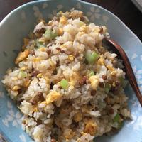 たべれぽ