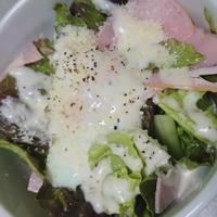 たべれぽ