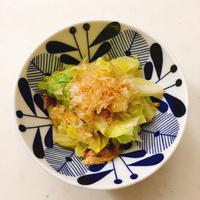 たべれぽ