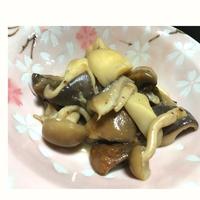 たべれぽ