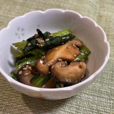 たべれぽの写真