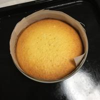 たべれぽ