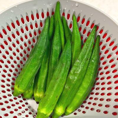 たべれぽの写真